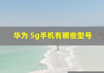 华为 5g手机有哪些型号